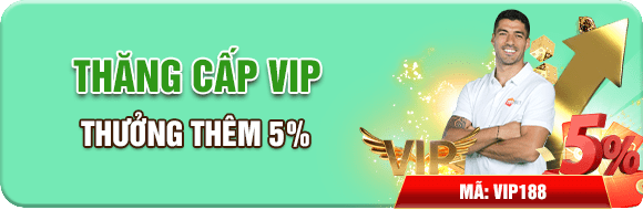 thăng cấp vip